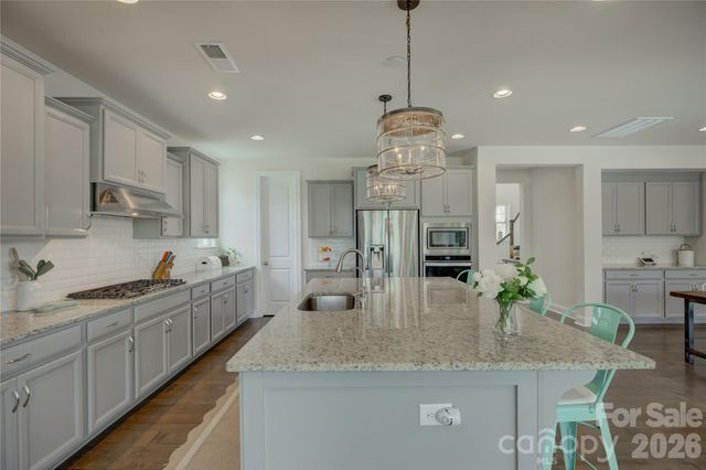 17204 Saranita Lane, Charlotte, NC 28278