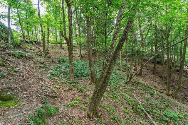 E4368 W Redstone Drive, La Valle, WI 53941