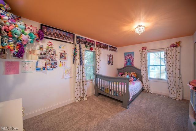 1150 E Beech Street, Alliance, OH 44601