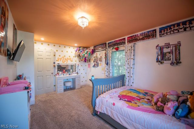 1150 E Beech Street, Alliance, OH 44601