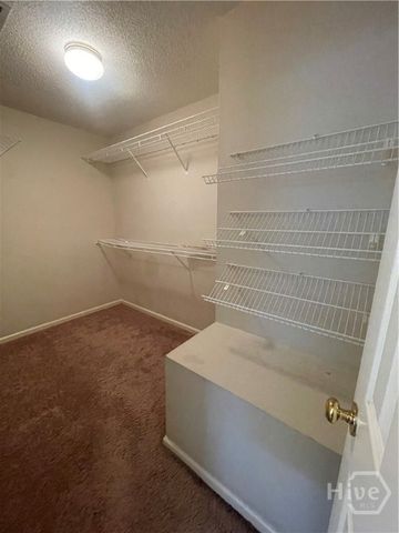 34 Golden Grove Lane, Richmond Hill, GA 31324
