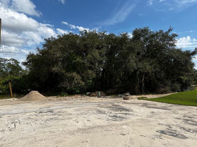 410 ASHBURY WAY, Kissimmee, FL 34759