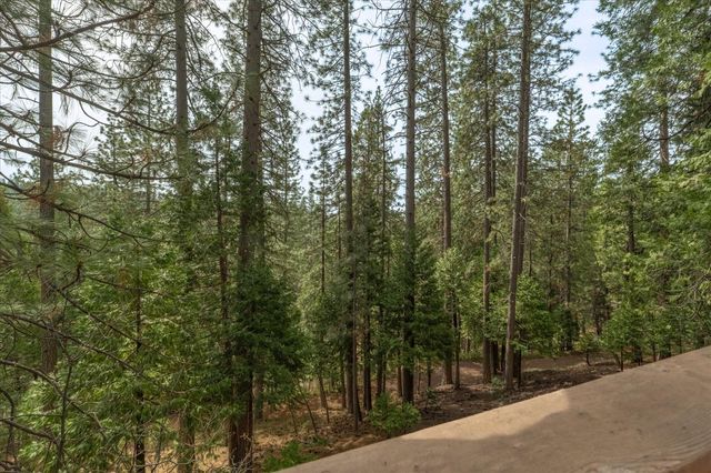 1856 Anna Lee Way, Arnold, CA 95223