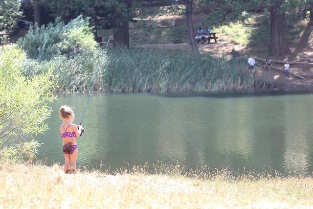 1856 Anna Lee Way, Arnold, CA 95223