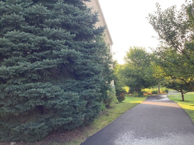 2921 Kelly Drive, Elgin, IL 60124