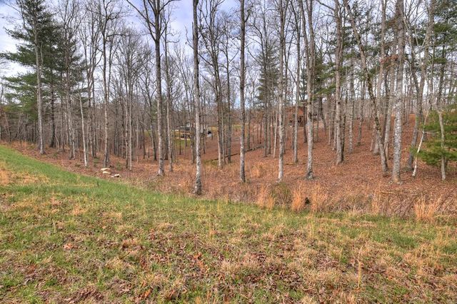 Lot 133 Ridges Of Blue Ridge, Morganton, GA 30560
