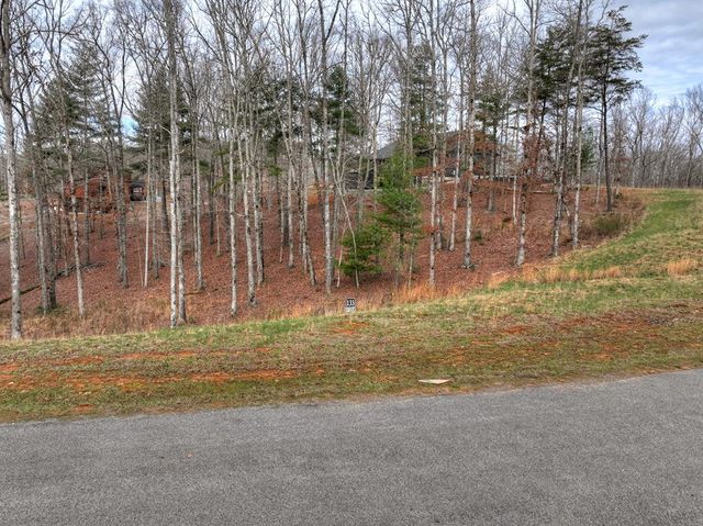 Lot 133 Ridges Of Blue Ridge, Morganton, GA 30560