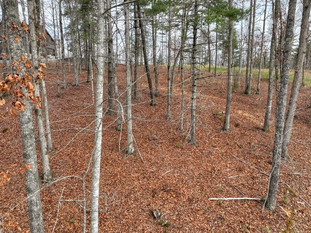 Lot 133 Ridges Of Blue Ridge, Morganton, GA 30560