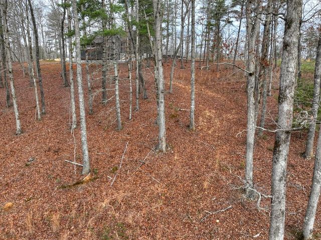 Lot 133 Ridges Of Blue Ridge, Morganton, GA 30560