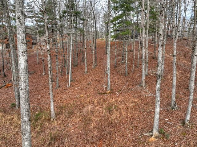 Lot 133 Ridges Of Blue Ridge, Morganton, GA 30560