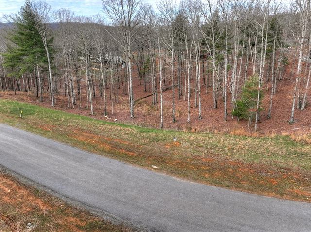 Lot 133 Ridges Of Blue Ridge, Morganton, GA 30560