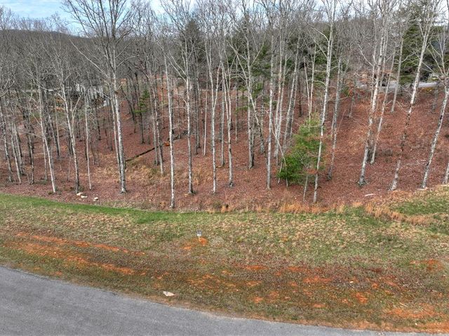 Lot 133 Ridges Of Blue Ridge, Morganton, GA 30560