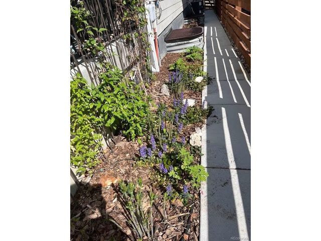 732 Boulder Peak Ave, Erie, CO 80516