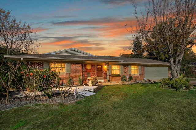 1245 N PINEAPPLE LANE, Eustis, FL 32726