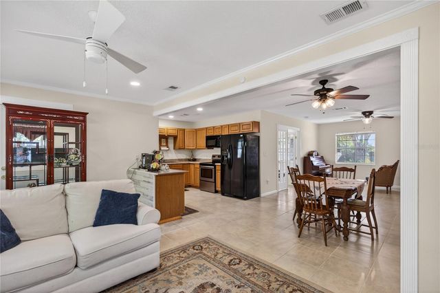 1245 N PINEAPPLE LANE, Eustis, FL 32726