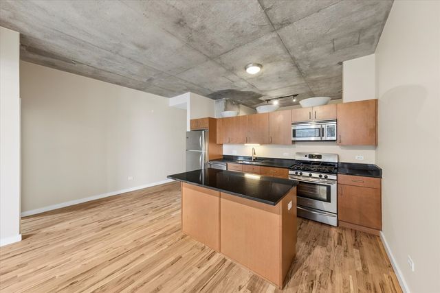 1720 S Michigan Avenue 202, Chicago, IL 60616