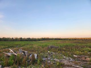40 Acres (2nd) Monroe (Easement) Road, Harrison, MI 48625
