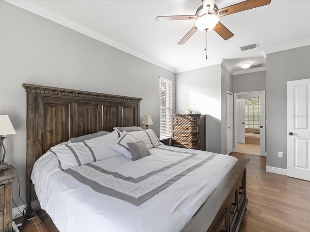 19719 SPRING WILLOW COURT, Odessa, FL 33556