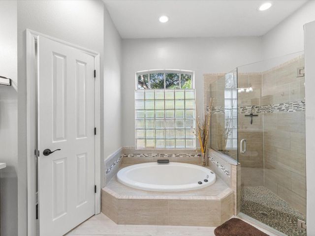 19719 SPRING WILLOW COURT, Odessa, FL 33556