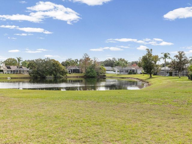 19719 SPRING WILLOW COURT, Odessa, FL 33556