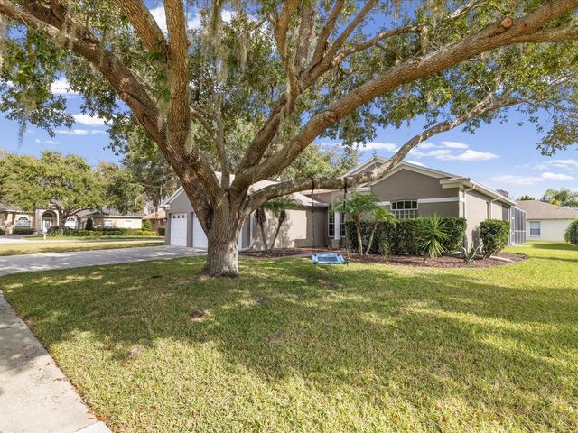 19719 SPRING WILLOW COURT, Odessa, FL 33556