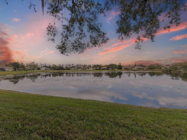 19719 SPRING WILLOW COURT, Odessa, FL 33556