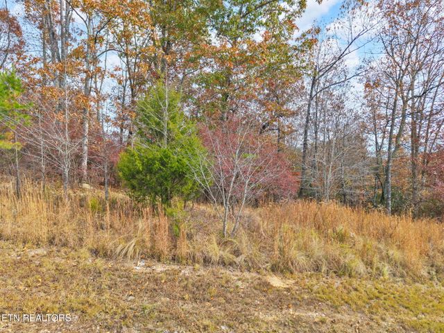 Emerald Pointe Circle, Rockwood, TN 37854