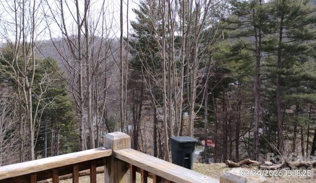 115 Paradise Mountain Road, Canton, NC 28716