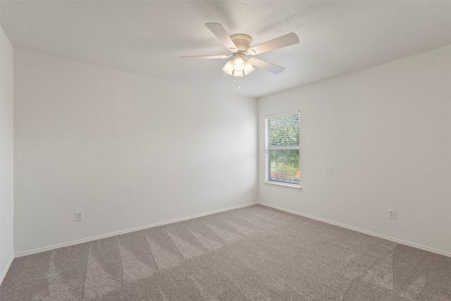 206 Butternut Drive, Fate, TX 75087