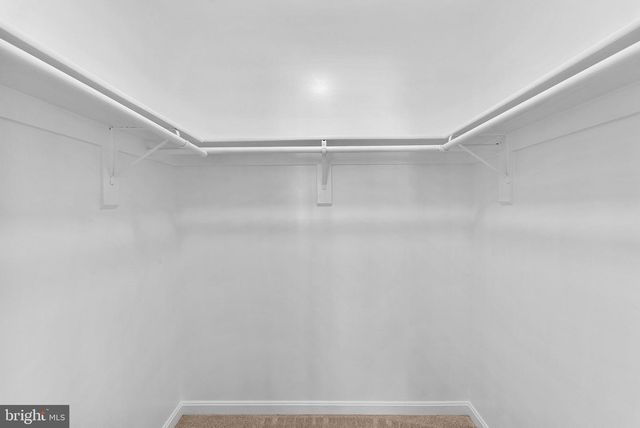 8228 MAPLE RIDGE AVE, Springfield, VA 22153