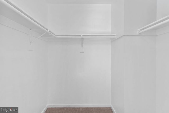 8228 MAPLE RIDGE AVE, Springfield, VA 22153