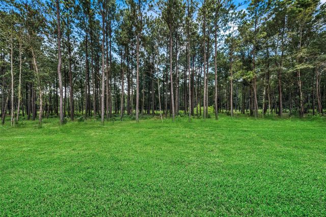 13656 Armstrong Street, Conroe, TX 77303