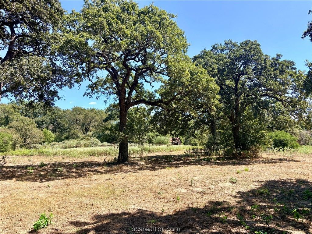 11529 Winstead Lane, Calvert, TX 77837 — photo 5