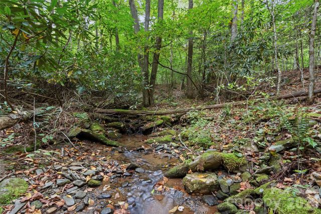 TBD Pond Road, Spruce Pine, NC 28777