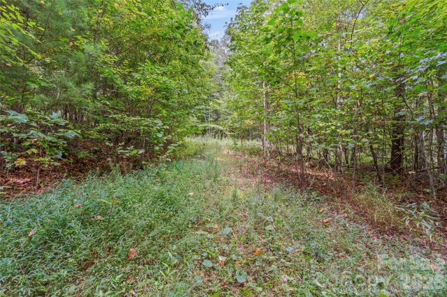 TBD Pond Road, Spruce Pine, NC 28777