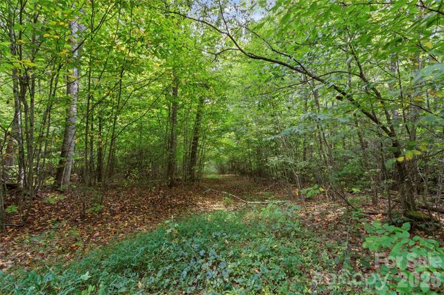 TBD Pond Road, Spruce Pine, NC 28777