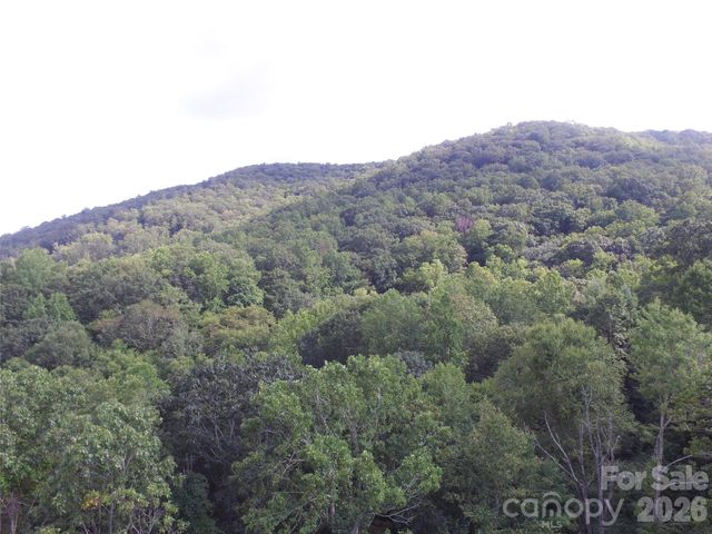 TBD Pond Road, Spruce Pine, NC 28777