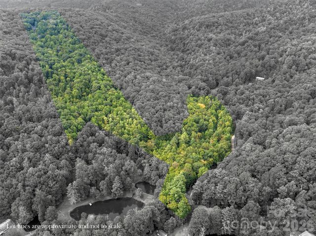 TBD Pond Road, Spruce Pine, NC 28777