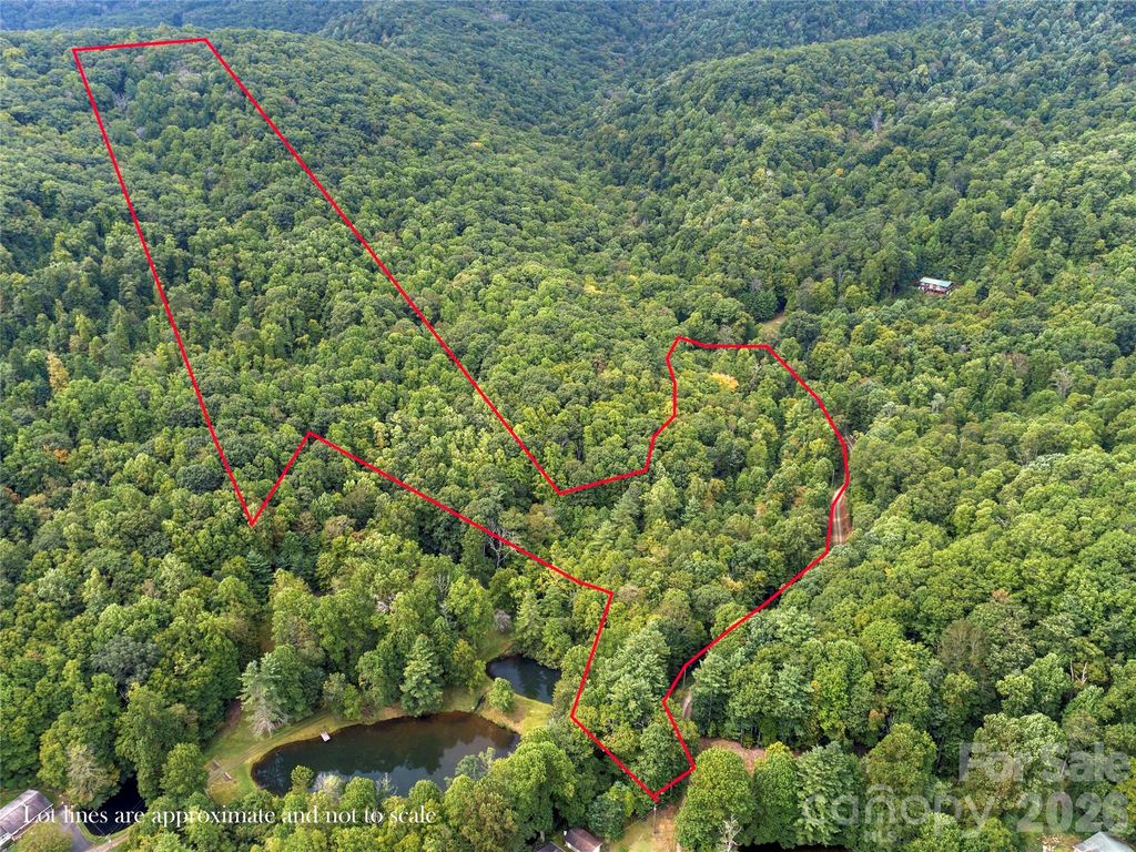TBD Pond Road, Spruce Pine, NC 28777