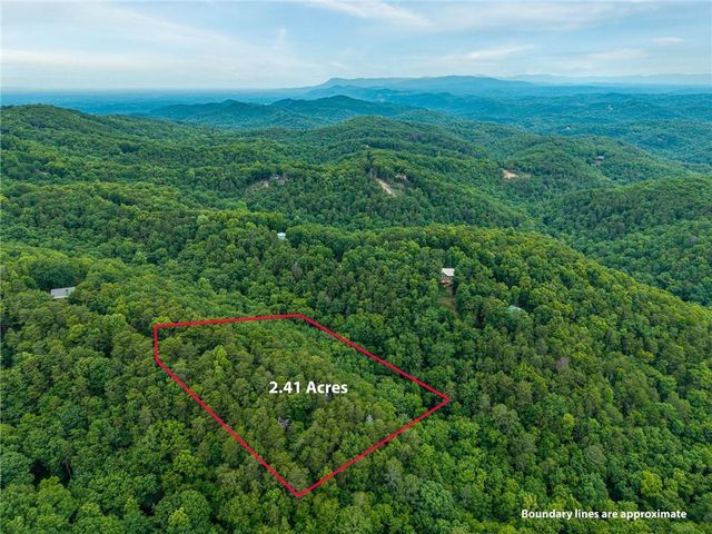 1331 Birch Lane NE, Ranger, GA 30734