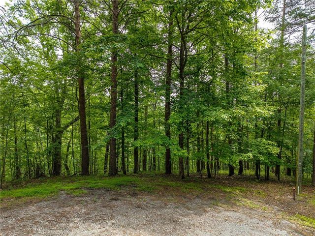1331 Birch Lane NE, Ranger, GA 30734