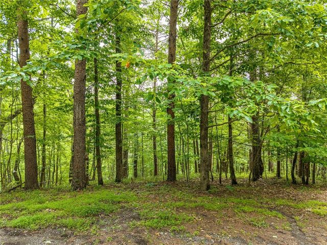 1331 Birch Lane NE, Ranger, GA 30734