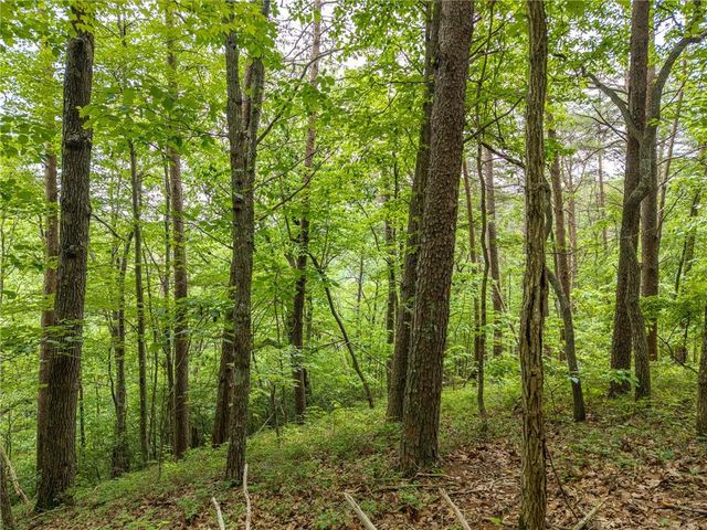 1331 Birch Lane NE, Ranger, GA 30734