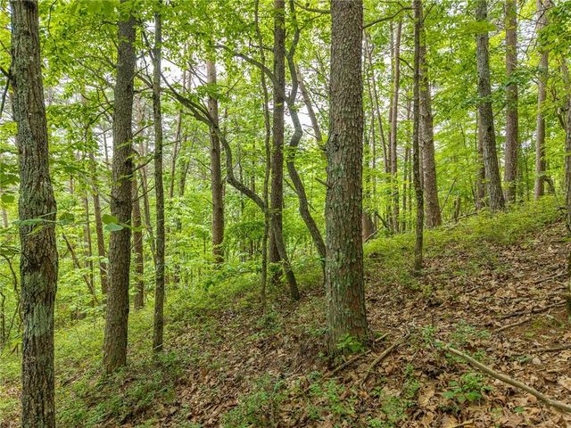 1331 Birch Lane NE, Ranger, GA 30734