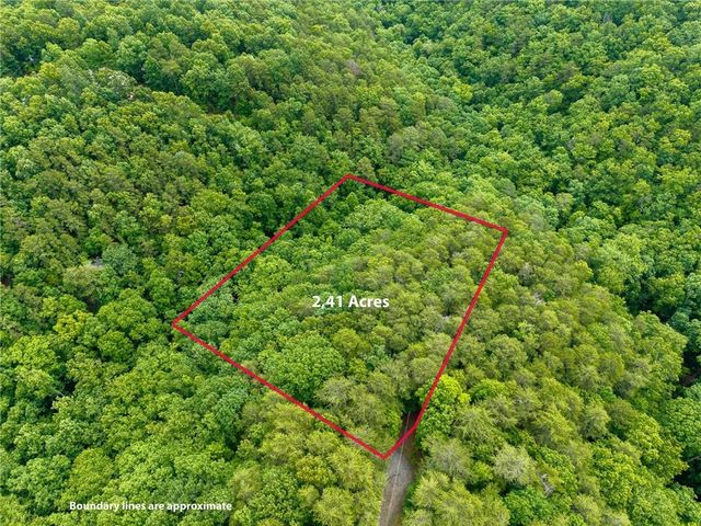 1331 Birch Lane NE, Ranger, GA 30734