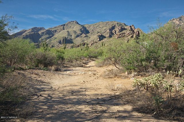 6655 N Canyon Crest Dr Unit 23201, Tucson, AZ 85750