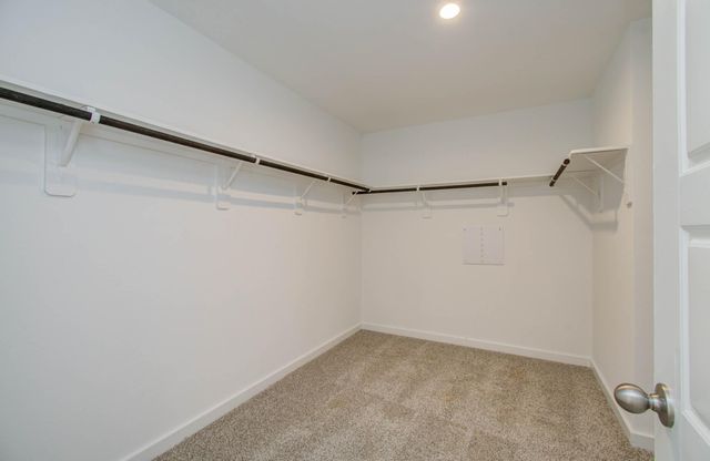 8922 Colicroot Drive, Rosharon, TX 77583