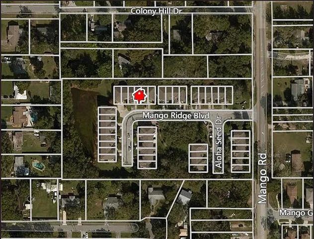 11636 MANGO RIDGE BOULEVARD, Seffner, FL 33584