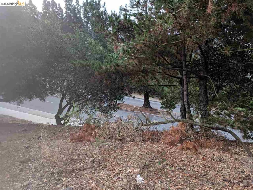 Image 4 of property listing at 0 0 Redwood Rd, Oakland, CA 94619