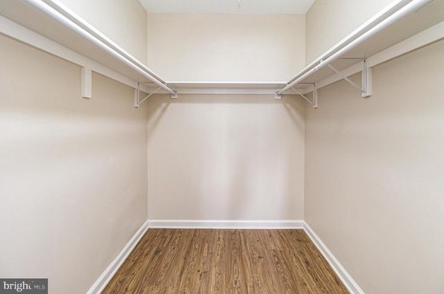 246 VINE PL, Stafford, VA 22554